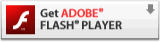 adobe flash
